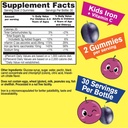 wellyeah-iron-gummies-for-kids-with-vita-2.jpg