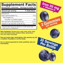 wellyeah-iron-gummies-with-vitamin-c--an-3.jpg