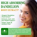 dandelion-root-extract-organic-dandelion-2.jpg