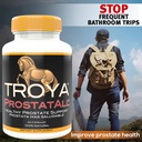 troya-supplement-saw-palmetto-zinc-sting-2.jpg