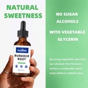 burdock-root-liquid-extract-organic-arct-4.jpg