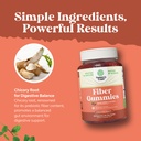 bundle-of-fiber-gummies-chicory-root-sup-6.jpg