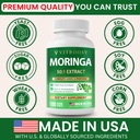 vitboost-moringa-oleifera-50-1-extract-c-3.jpg