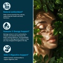 2-pack-organic-moringa-leaf-extract-liqu-6.jpg
