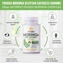 moringa-oleifera-250-capsules-5000mg-mor-3.jpg