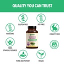 siba-ultra-pure-organic-moringa-extract--4.jpg