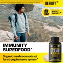 herbify-lions-mane-supplement-daily-mush-4.jpg