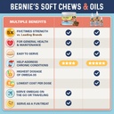 bernie-s-omg-omegas-chews-for-dogs-5x-ex-5.jpg