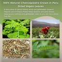 hanan-chanca-piedra-loose-leaf-1-4oz-sto-6.jpg