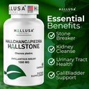 hallusa-natural-hallchancapiedra-1000-mg-2.jpg