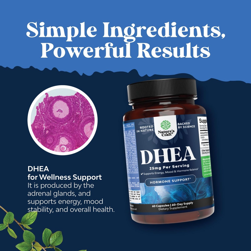 dhea-supplement-for-women-men-dhea-25mg--6.jpg