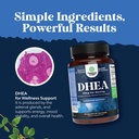 dhea-supplement-for-women-men-dhea-25mg--6.jpg