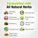cedar-bear-lymphatic-cleanse-immune-supp-4.jpg