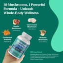 colonbroom-mushroom-complex-powerful-mus-4.jpg
