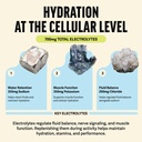 zest-hydration-preworkout-energy-drink-p-4.jpg