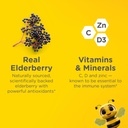 zarbee-s-no-sugar-coating-elderberry-gum-2.jpg