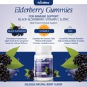 elderberry-gummies-for-immune-support-bl-5.jpg