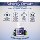 elderberry-gummies-for-immune-support-bl-6.jpg