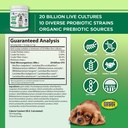 vital-planet-flora-dog-probiotic-powder--2.jpg