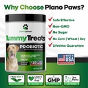 probiotics-for-dogs-digestive-health-dog-3.jpg