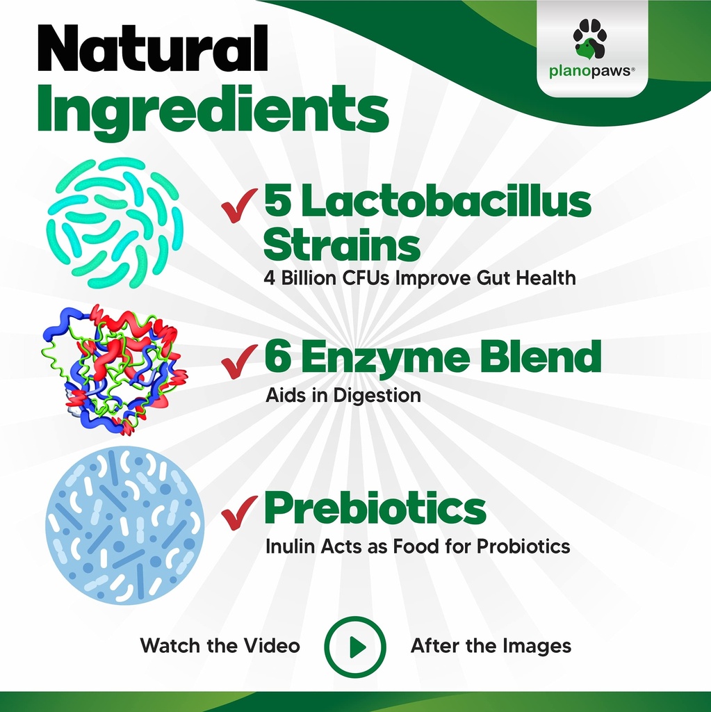 probiotics-for-dogs-digestive-health-dog-5.jpg