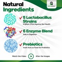 probiotics-for-dogs-digestive-health-dog-5.jpg