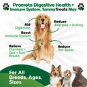 probiotics-for-dogs-digestive-health-dog-2.jpg