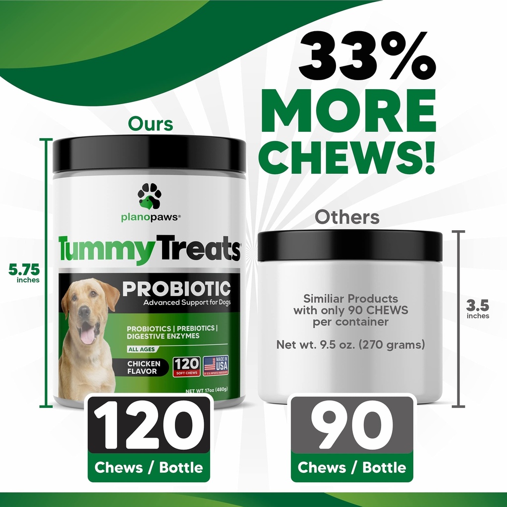 probiotics-for-dogs-digestive-health-dog-4.jpg