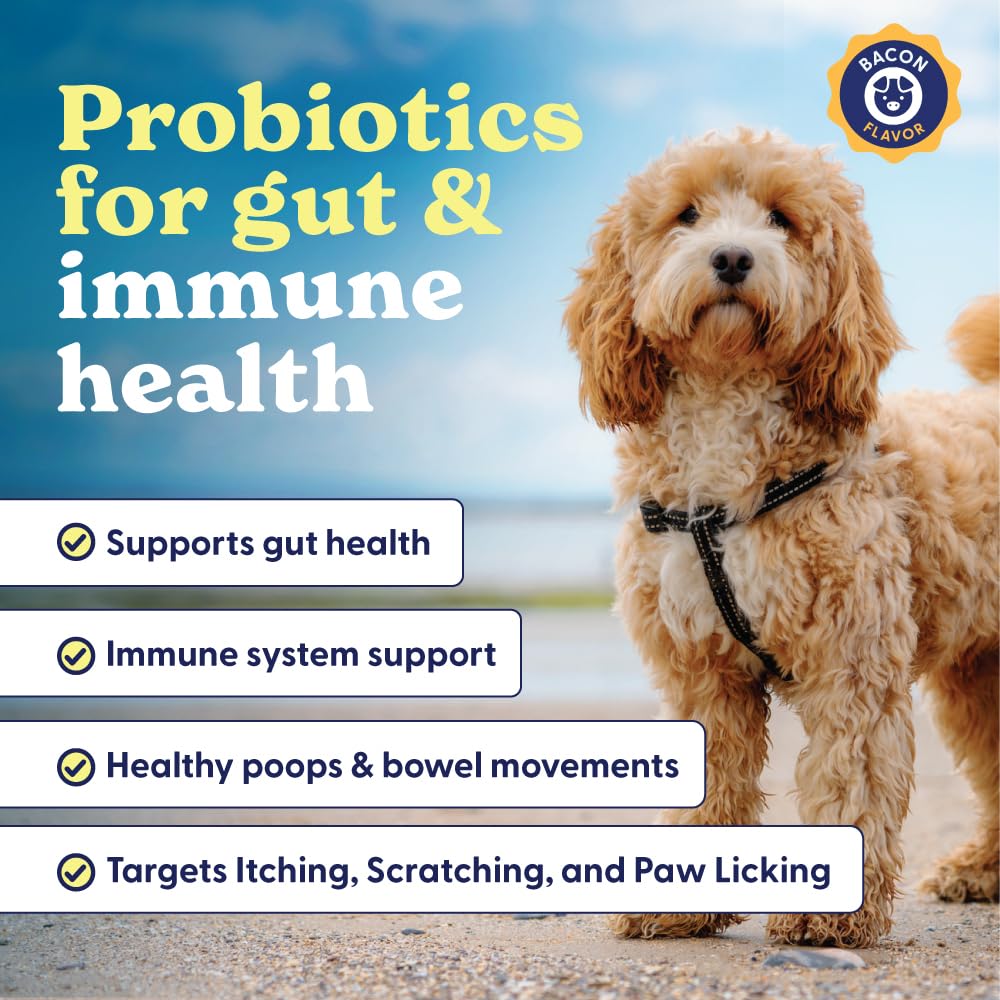origin-labs-belly-buddies-probiotics-for-4.jpg