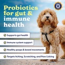 origin-labs-belly-buddies-probiotics-for-4.jpg