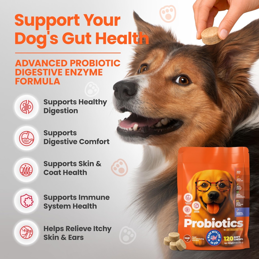 probiotics-for-dogs-dog-probiotics-for-d-3.jpg
