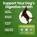 probiotics-for-dogs-dog-probiotics-for-d-5.jpg