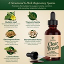 clear-breath-mullein-leaf-respiratory-su-2.jpg