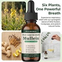 pulmoria-wild-mullein-drops-herbal-blend-3.jpg