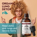 osha-root-liquid-extract-for-respiratory-3.jpg