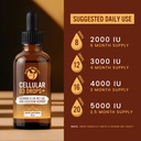 alkaline-for-life-cellular-d3-drops-liqu-3.jpg