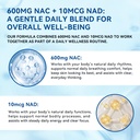 aeteon-nac-supplement-600mg-with-nad-dai-4.jpg