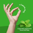 garden-of-life-dr-formulated-multi-energ-4.jpg