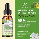 2-pack-98-absorption-mullein-drops-for-l-2.jpg