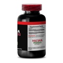focus-and-memory-supplements-mucuna-prur-4.jpg