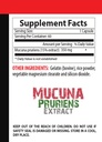 focus-and-memory-supplements-mucuna-prur-5.jpg