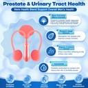 probiotics-for-men-100-billion-cfus-with-2.jpg