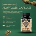 calm-energy-supplement-for-busy-professi-2.jpg