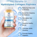 multi-collagen-peptides-for-women-men-hy-3.jpg