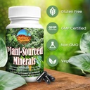 plant-sourced-minerals-60-capsules-organ-3.jpg
