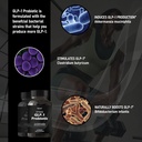 glp-1-probiotic-30-capsules-500m-afu-mul-2.jpg