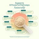 levelup-glp-superfood-with-akkermansia-p-2.jpg