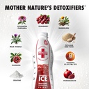 rescue-detox-ice-cranberry-flavor-17oz-w-5.jpg