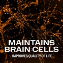 vimergy-brain-body-memory-powers-5-memor-4.jpg