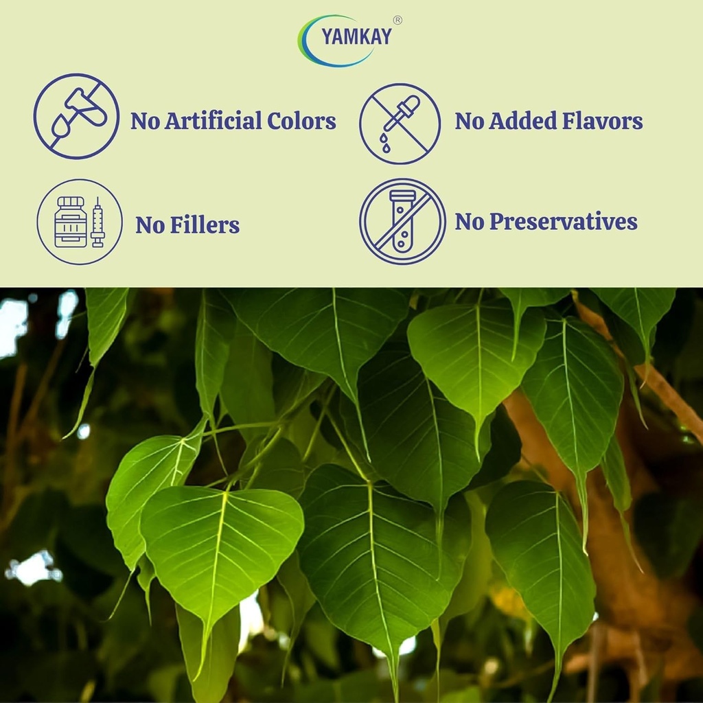 arasa-ilai-powder-peepal-leaf-ficus-reli-5.jpg
